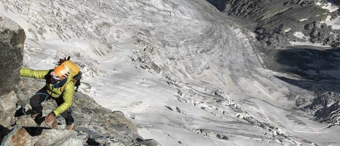 jorasses_glaciar_de_fondo
